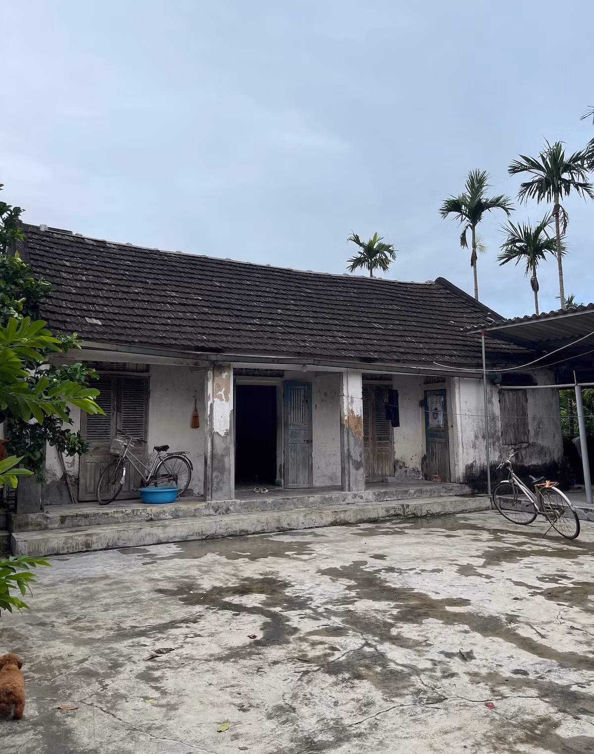 Trên các diễn đàn mỗi ngày vẫn thường xuyên có những cuộc tranh cãi về vấn đề chọn tình yêu hay vật chất, nhiều người cho rằng rất nhiều cô gái bây giờ khá thực dụng, khó có được tình yêu vượt gian khổ như xưa. Thế nhưng, câu chuyện tình yêu của cặp đôi Thuỷ Tiên và Xuân Nam (cùng SN 1997 và quê Hải Dương) sẽ khiến nhiều người suy nghĩ lại.