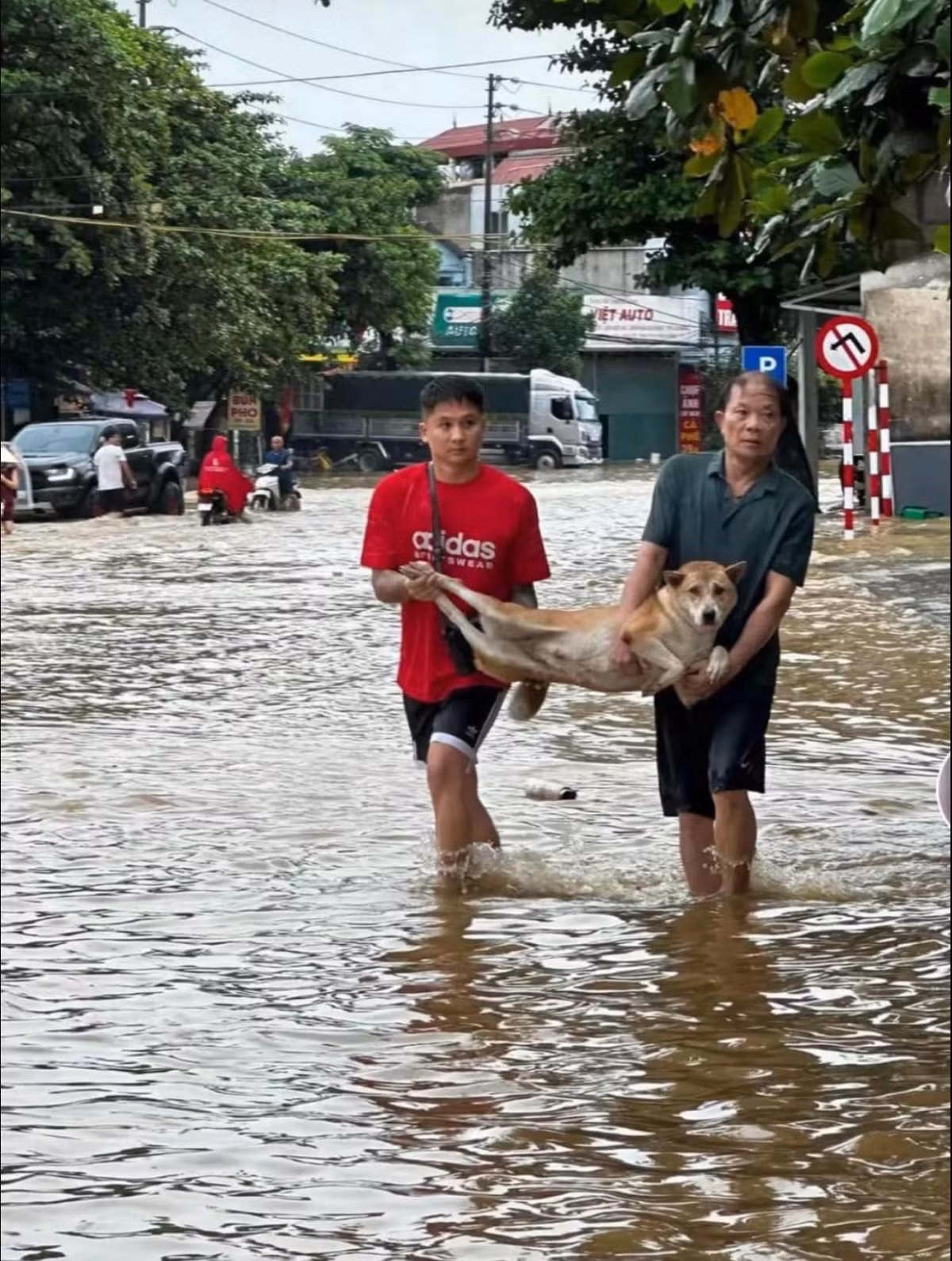 "Không một sự sống nào bị bỏ lại", "sinh mạng nào cũng đáng quý" là khẩu hiệu mà rất nhiều người dân vùng chịu ảnh hưởng của lũ lụt nêu lên khi thực hiện di tản.