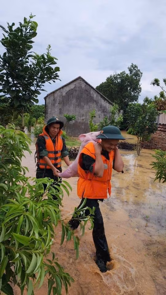 Hình ảnh 2 chú bộ đội cõng bé heo gây sốt mạng xã hội vì quá đáng yêu.