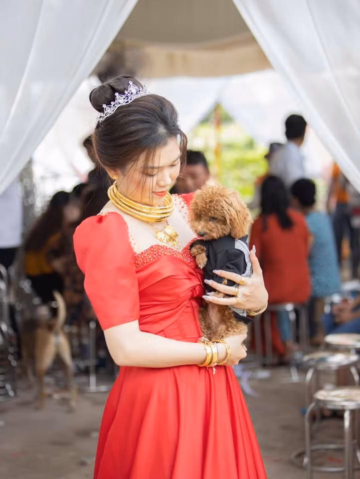 Ngày cưới là ngày trọng đại nhất của cuộc đời nên cô dâu chú rể nào cũng muốn có sự hiện diện của những người quan trọng bên cạnh. Đối với nhiều người yêu quý thú cưng, những chú cún được chính tay mình chăm bẵm mỗi ngày cũng là một "vị khách" đặc biệt trong ngày cưới.