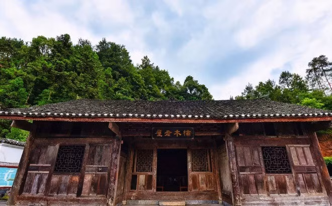 Nhưng khi chuẩn bị phá dỡ, các chuyên gia thực sự bất ngờ vì ngôi nhà được xây dựng bằng gỗ nanmu vàng - một loại thực vật được bảo tồn cấp quốc gia, rất hiếm và rất quý. Ảnh: 163