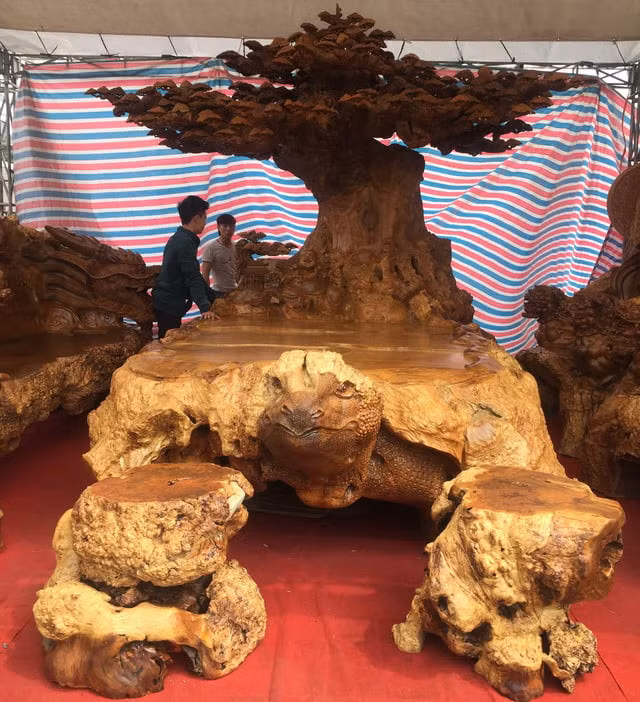 Đáng chú ý, gốc nu đinh dùng để chế tác bộ bàn ghế có tuổi đời hàng nghìn năm nên giá trị không hề nhỏ. Ảnh: Người quan sát