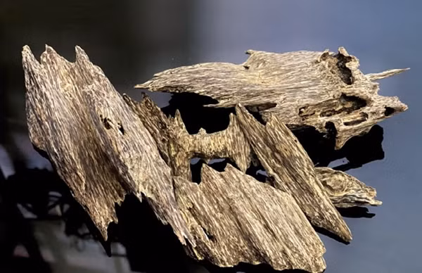  Gỗ trầm hương được mệnh danh là "gỗ của các vị thần" bởi nó không chỉ mang lại những lợi ích về mặt đời sống, mà còn tác dụng ở khía cạnh phong thủy, tâm linh. Ảnh minh họa
