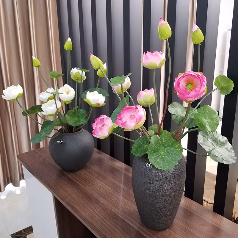 Hoa sen tượng trưng cho sự hoàn hảo, dù sống ở bùn nhưng không mất đi sự tinh khiết. Theo phong thủy, hoa sen giúp căn nhà giàu sức sống và có vẻ dẹp hài hòa. Ảnh: Xanhvina
