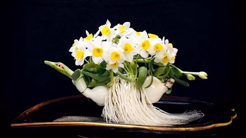 Trong phong thủy, hoa thủy tiên mang ý nghĩa giúp gia chủ vượt qua khó khăn để thăng tiến trong sự nghiệp. Ảnh: Tiki