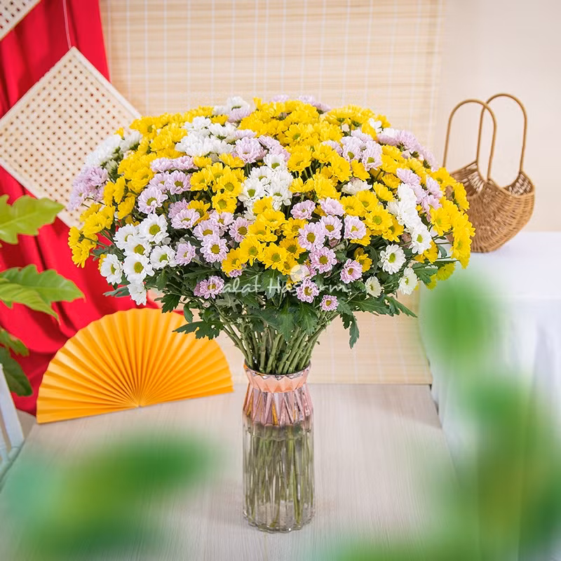Một bình hoa cúc tươi trong phòng khách giúp gia chủ có một cuộc sống yên bình, sung túc. Ảnh: Dalat Hasfarm