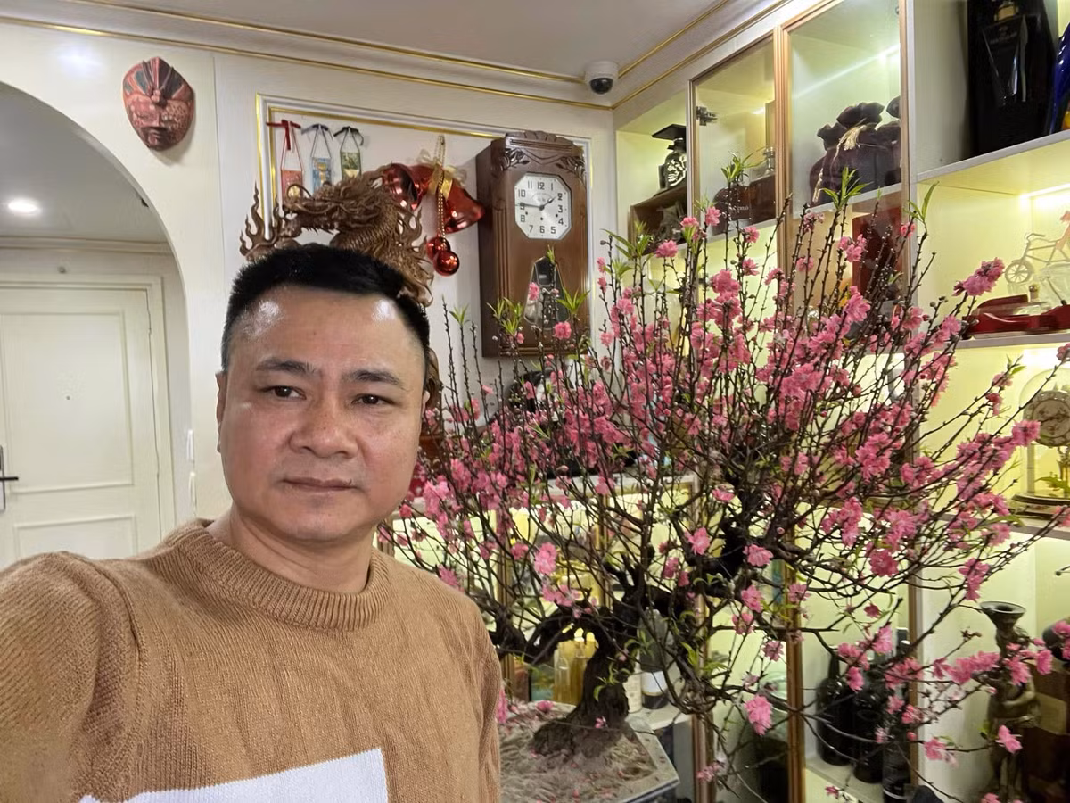 Chậu đào bung nở rực rỡ một góc nhà. Ảnh: FBNV