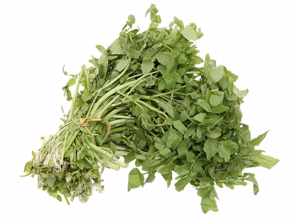  Cải xoong là loại rau lá xanh, nhỏ, thân tròn và có vị hơi cay nồng. Cải xoong cùng họ hàng với cải xoăn, bắp cải. Ảnh: Internet