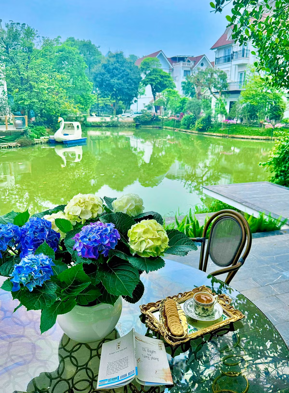 Những ngày giữa tháng 4, nữ diễn viên khoe mùa cẩm tú cầu rực rỡ trong vườn nhà. Ảnh: FBNV