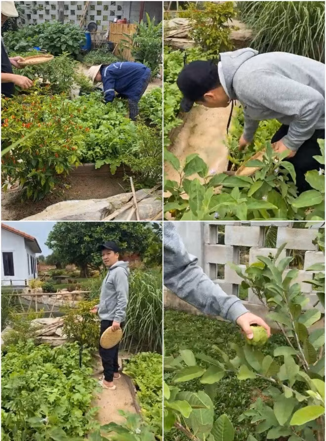 Trường Giang còn tự tay cuốc đất trồng các loại cây, rau củ quả, bày trí hệt như một khu vườn quê. Ảnh: Facebook