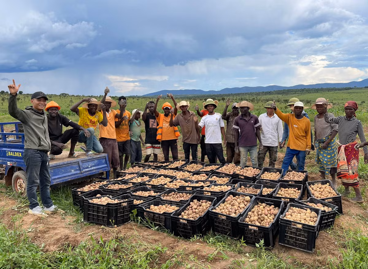 Mấy năm trước, Quang Linh Vlogs đầu tư 4,3 tỷ đồng để mua 14.000 ha đất, giống cây, thuê nhân công... làm trang trại chăn nuôi và trồng trọt tại châu Phi. Ảnh: FBNV