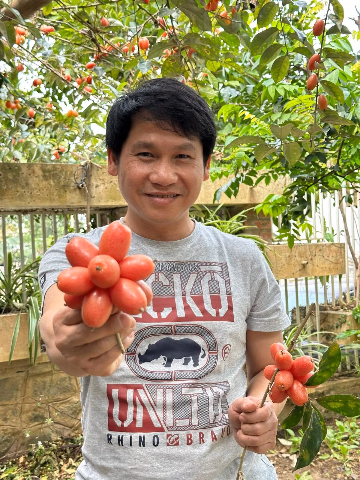"Ông hoàng nhạc đỏ" hào hứng chia sẻ chùm nhót chín sau khi hái. Ảnh: FB ca sĩ Trọng Tấn