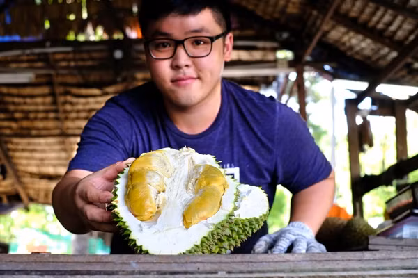 Theo ông Eric Yeap, chủ sở hữu 7 vườn cây ăn trái trải dài hơn 53 ha tại Penang, loại sầu riêng này là “ngôi sao mới” của Malaysia, thu hút khách hàng trong nước và các thị trường sành ăn như Singapore, Trung Quốc, Hong Kong. Ảnh: YearoftheDurian
