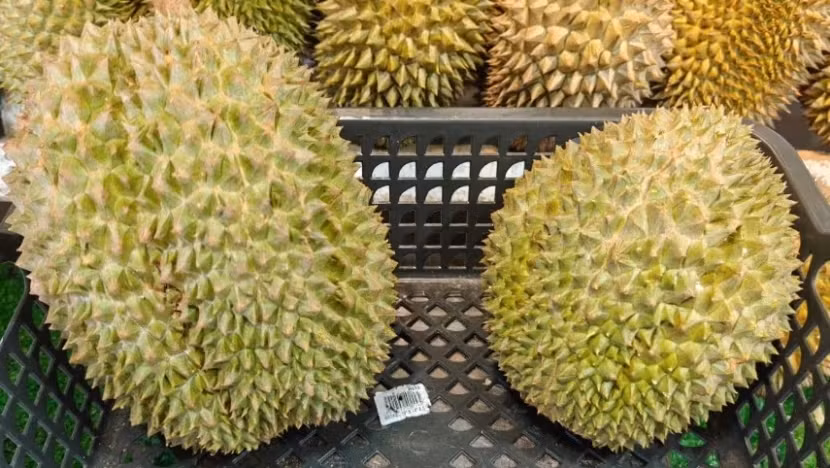 Nhiều khách hàng từ Trung Quốc và Singapore đang tích cực tìm mua mua sầu riêng Tupai King, thậm chí một số người bay đến chỉ để được thưởng thức. Ảnh: CNA