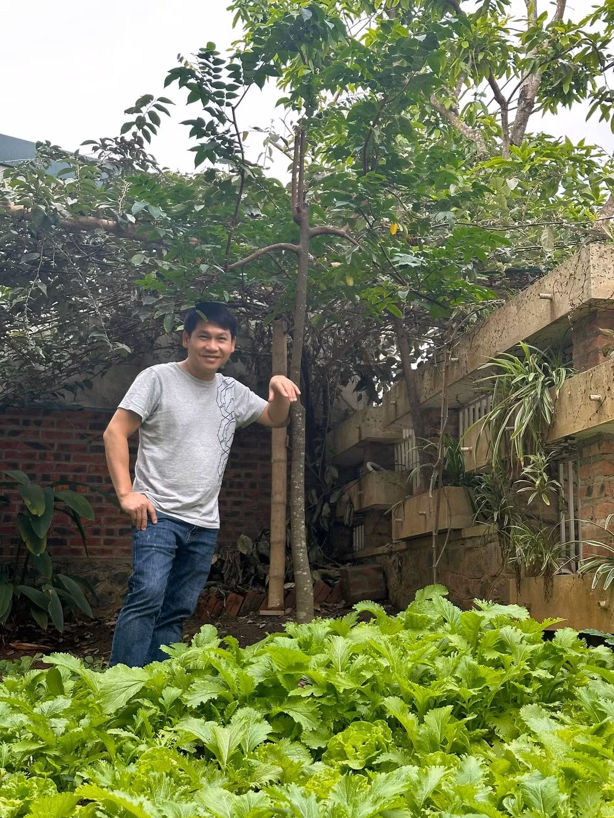Ngoài cây ăn trái còn có luống rau xanh mướt. Ảnh: FB ca sĩ Trọng Tấn