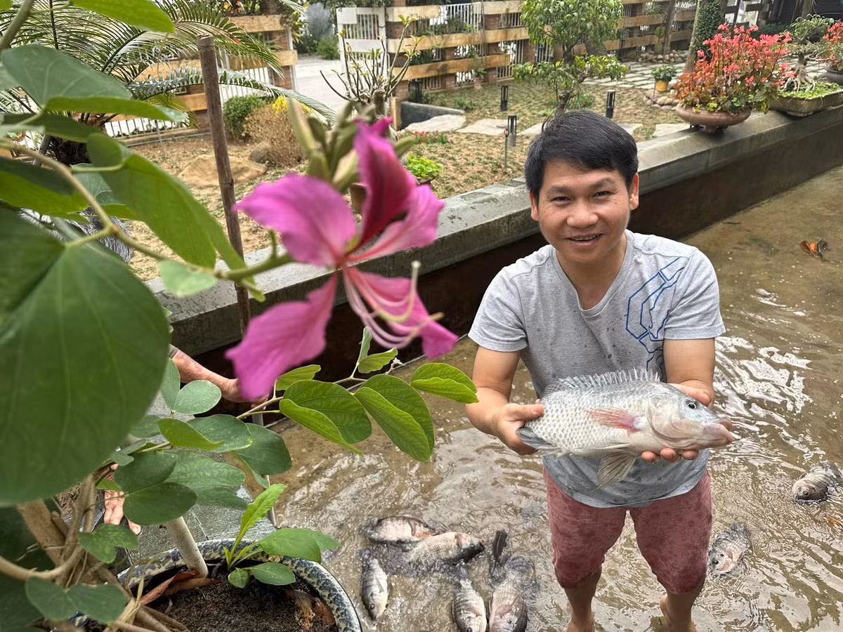 Đây là nơi nam ca sĩ trồng rau, cây ăn quả, nuôi gà, thả cá... Ảnh: FB ca sĩ Trọng Tấn