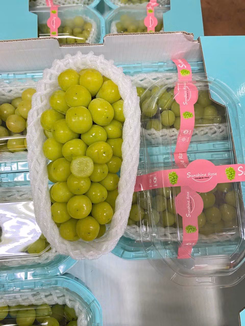 Năng suất phù hợp trên mỗi mẫu nho (tương đương 666,6m2) sẽ đạt khoảng 4 tấn. Tuy nhiên, không ít nông dân đã tăng năng suất lên 7-8 tấn, thậm chí hàng chục tấn trên mỗi mẫu nho khiến chất lượng nho giảm. Ảnh: Facebook