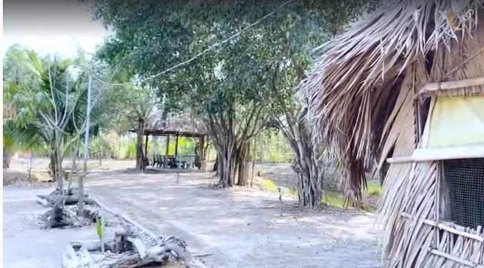 Minh Hằng lên ý tưởng thiết kế, sắp đặt cảnh quan như cầu, bàn ghế đá, cây cảnh và hoa dọc lối đi. Ảnh chụp màn hình