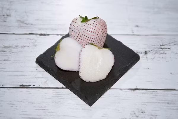 Dâu tây Bạch Tuyết trắng muốt, ngọt như mật ong tan chảy trên đầu lưỡi. Ảnh: Japantimes