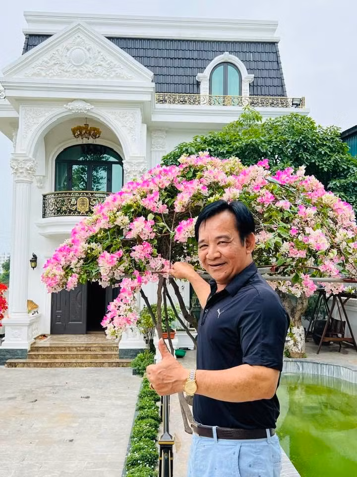 Ấn tượng nhất là cây hoa giấy đủ màu sắc. Ảnh: FBNV