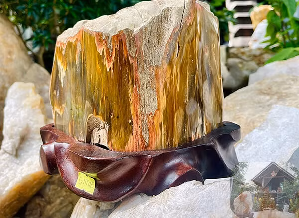 Trong quá trình này, khoáng chất như thạch anh, opal và canxedon thẩm thấu vào mao mạch gỗ, thay thế dần cấu trúc hữu cơ ban đầu. Qua đó, biến gỗ thành đá với độ cứng cao, chỉ đứng sau kim cương. Ảnh: Nhasan