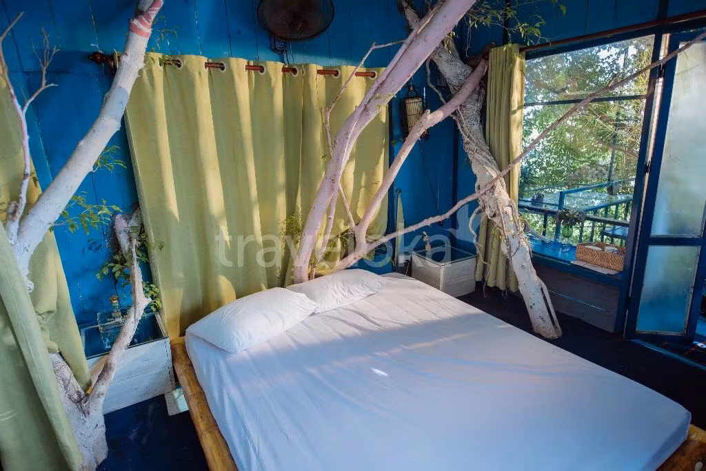 Mầm cây đâm chồi nảy lộc trong phòng ngủ. Ảnh: Dao Anh Khanh Studio