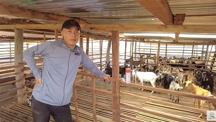 Noài ra, Quang Linh Vlogs còn xây thêm chuồng trại để chăn nuôi gia súc, gia cầm. Ảnh: YouTube Quang Linh Vlogs