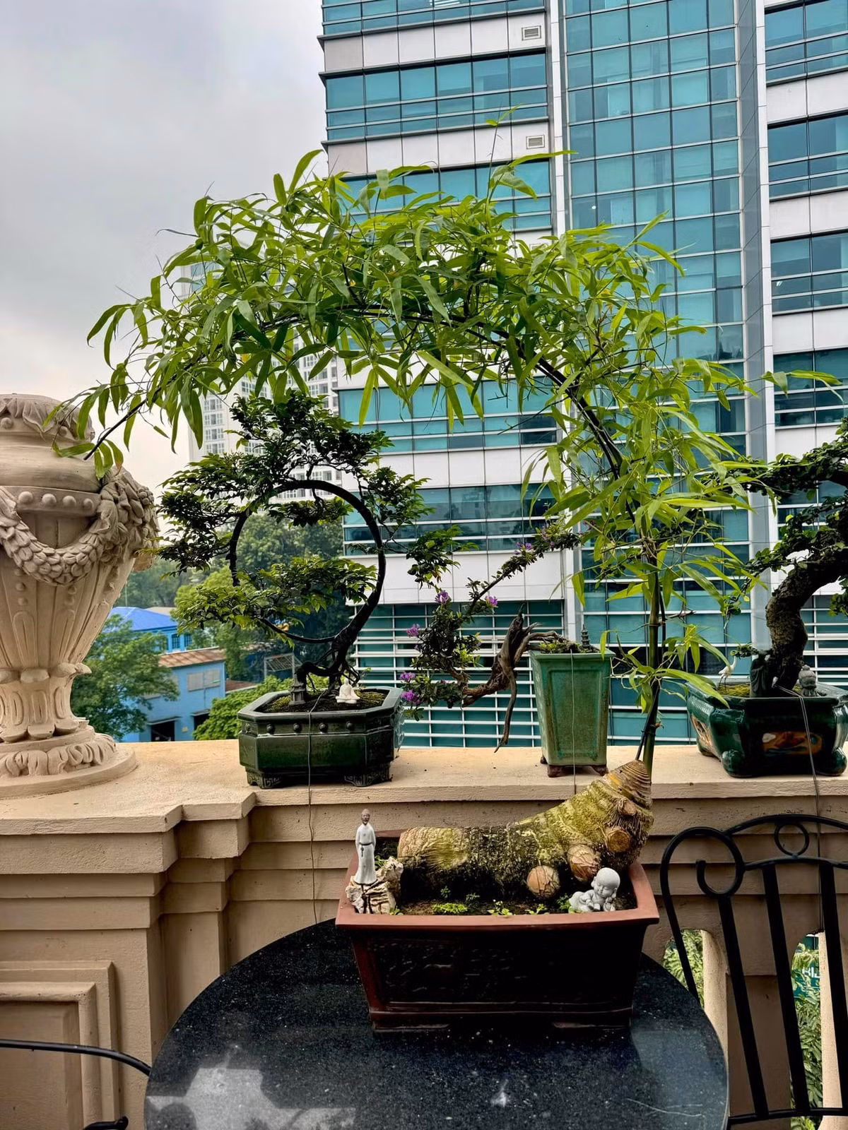 Nhưng gần đây, các nghệ nhân yêu cây cảnh đã “biến hóa” gốc tre thân thuộc thành chậu cây bonsai nghệ thuật. Ảnh: FB Dương Chương