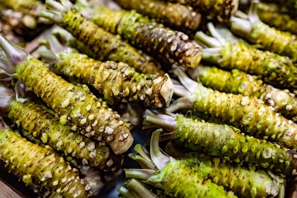  Wasabi (củ cải ngựa Nhật Bản) là một trong những cây trồng đắt nhất hành tinh khi có giá lên đến 250 USD/kg (khoảng gần 6 triệu đồng). Ảnh: Britannica