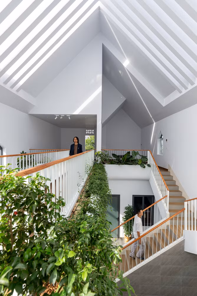 Hành lang được bố trí cây xanh ở vị trí đón sáng dễ dàng nhất, giúp thanh lọc không khí. Ảnh: Lonton Studio