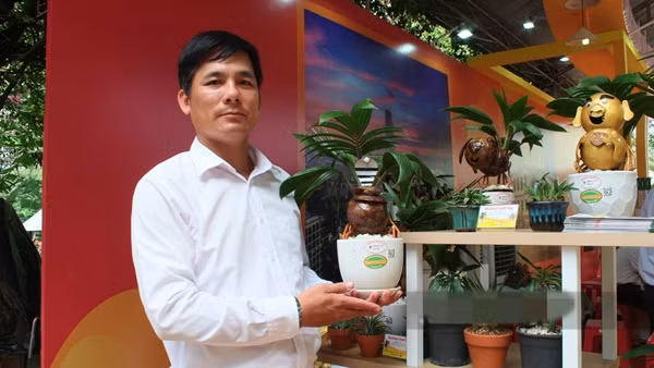 Nổi bật nhất là những tác phẩm dừa bonsai tạo hình linh vật "rắn ngậm ngọc" của anh Đậu Thanh Tùng (chủ nhà vườn tại huyện Bình Chánh, TP HCM). Ảnh: Dân Việt