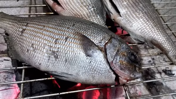 Trước đây, chỉ người dân địa phương mới biết tới nhưng hiện nay cá tà ma được du khách ưa chuộng và lùng mua thưởng thức mỗi khi đến mùa. Ảnh: Internet