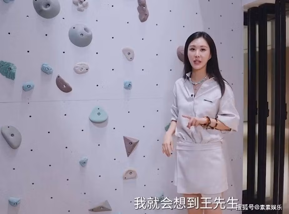 Bức tường leo núi thiết kế riêng cho Vương Thạch là chi tiết ấn tượng trong căn biệt thự. Ảnh: Sina
