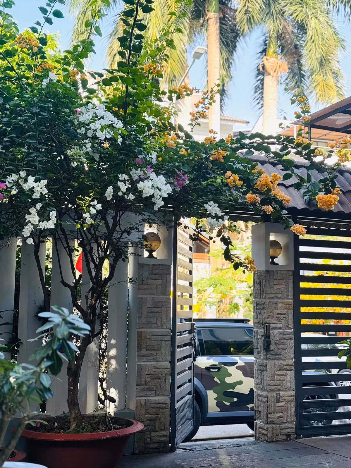 Trước cổng nhà của Ngọc Lan không quá cầu kỳ, ngập tràn sắc màu của giàn hoa giấy. Ảnh: FB Ngọc Lan Nguyễn