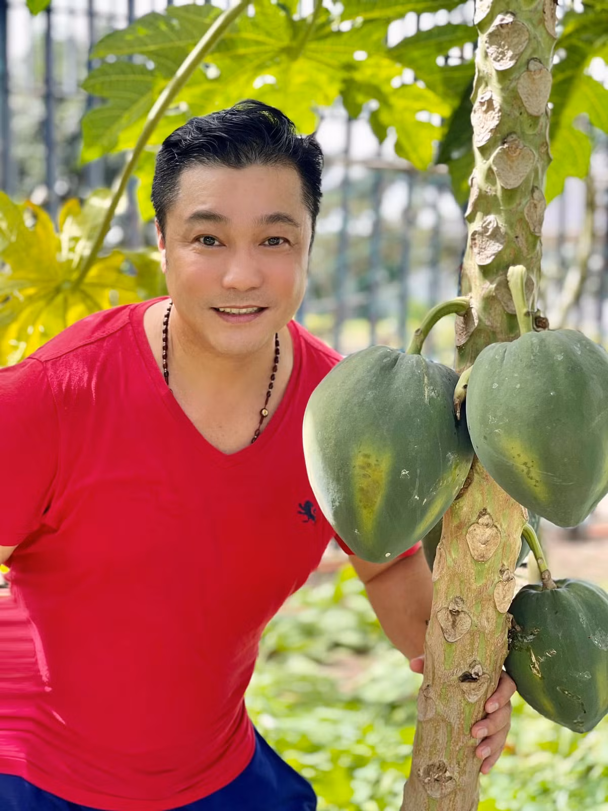Tại đây, nam diễn viên Phạm Công - Cúc Hoa trồng cây cảnh và nhiều cây ăn quả. Ảnh: FB Lý Hùng