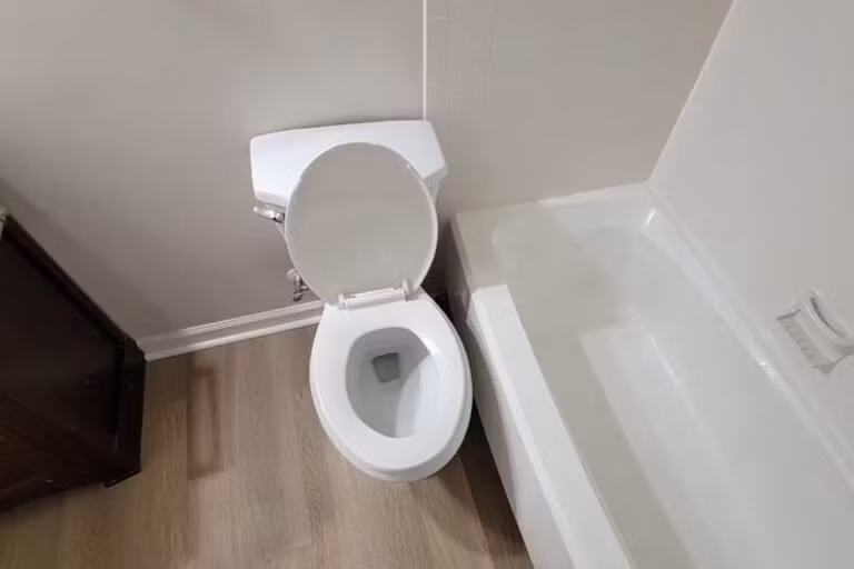 Thiết kế hoàn toàn bỏ qua khoảng cách tiêu chuẩn giữa bồn tắm và bồn cầu. Ảnh: Livspace