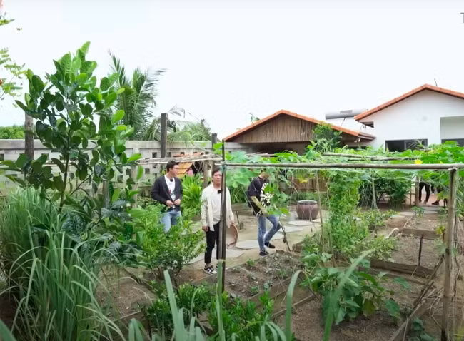 Trường Giang thiết kế cả khu vườn để thỏa đam mê trồng trọt. Ảnh chụp màn hình
