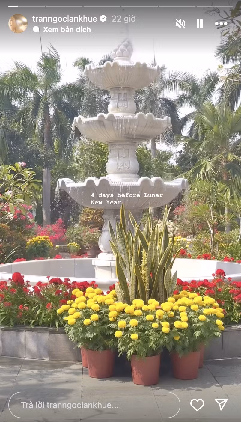 Tại khoảng sân trước nhà, vợ chồng Lan Khuê sắm hàng chục chậu cúc mâm xôi và cúc vạn thọ bày trí xung quanh. Khu vực đài phun nước được bao quanh bởi những chậu hoa mào gà đỏ rực. Ảnh: FBNV
