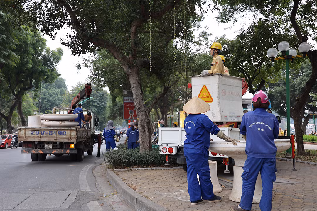 Hệ thống cây xanh đang được cắt tỉa gọn gàng, phòng tránh đổ gãy. 