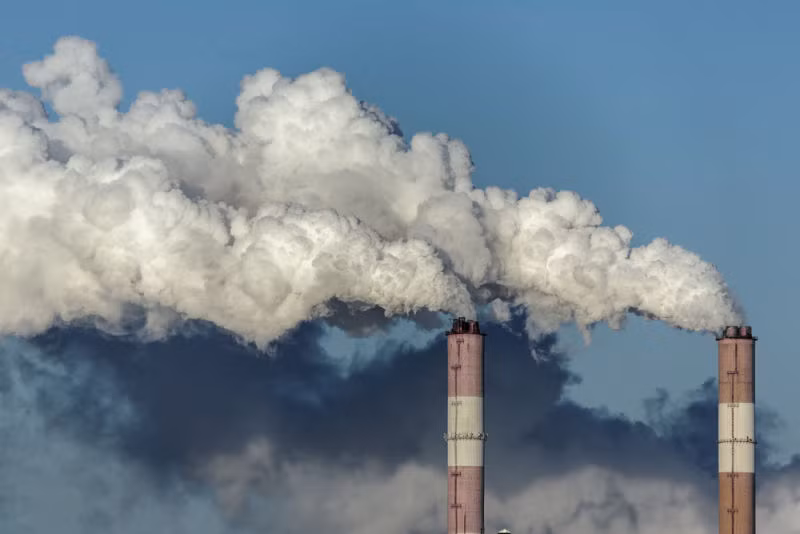Theo đó, mỗi người có "dấu chân carbon" khác nhau. Do vậy, mỗi người hãy tìm cách cho riêng mình để cắt giảm lượng khí thải của bản thân cũng như kết nối mọi người bằng cách sử dụng máy tính và mạng Internet để cùng chung tay hành động bảo vệ môi trường, chống biến đổi khí hậu.