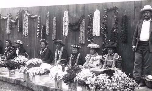 Những người phụ nữ bán các vòng hoa tuyệt đẹp ở quần đảo Hawaii năm 1901. Hawaii thu hút khá đông khách du lịch ghé thăm mỗi năm và dần trở thành thiên đường du lịch nổi tiếng thế giới.