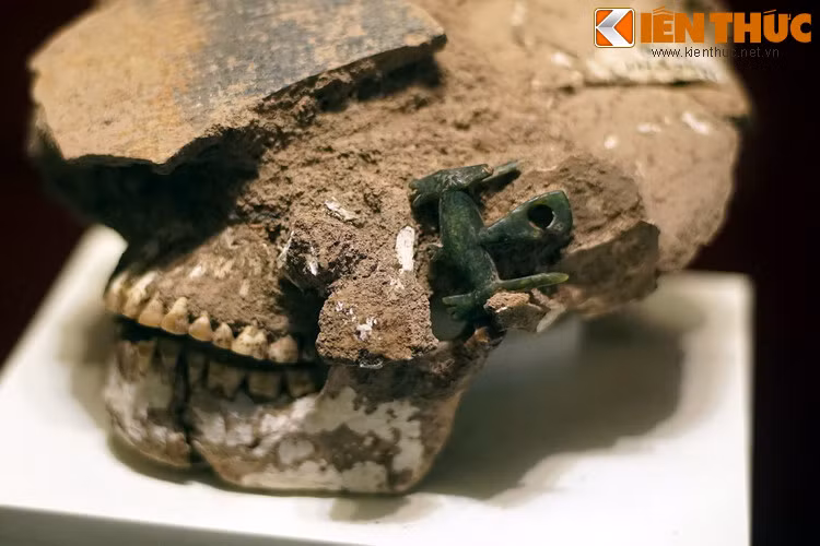 Hộp sọ và khuyên tai hai đầu thú, văn hóa Đồng Nai. Đồ trang sức là loại hình cổ vật tinh xảo nhất của văn hóa Đồng Nai, thể hiện con mắt thẩm mỹ, trình độ chế tác cũng như sự phân tầng xã hội của cư dân nền văn hóa này.