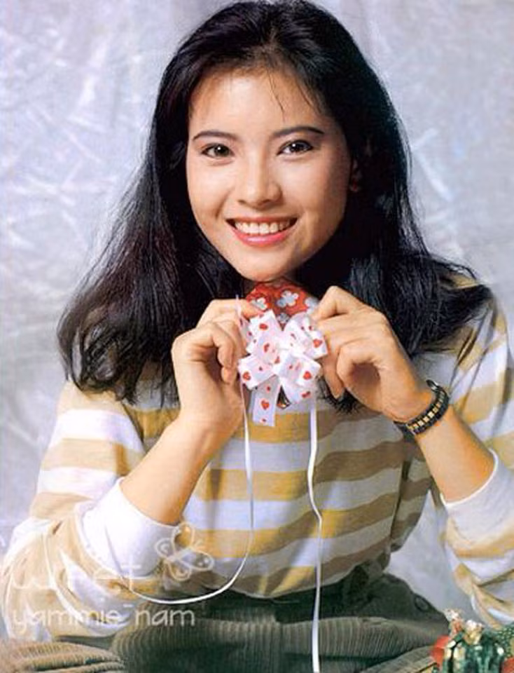 Năm 1983, Lam Khiết Anh tham gia lớp đào tạo diễn viên cùng với Tăng Hoa Thiên và Lưu Gia Linh. Sau khi tốt nghiệp, cô được TVB tuyển dụng làm chủ trì một số tiết mục truyền hình.