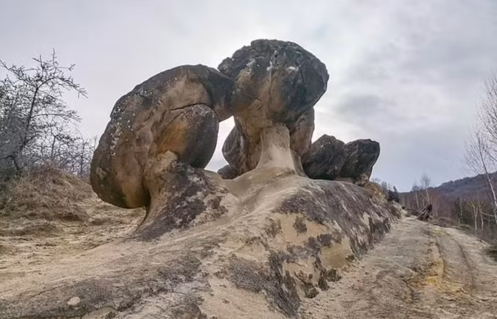 Sự việc này khiến người dân cảm thấy bất ngờ, khó hiểu. Một số nhà khoa học, chuyên gia địa chất đã bắt tay vào nghiên cứu nhằm giải mã bí ẩn về những tảng đá biết "sinh con".