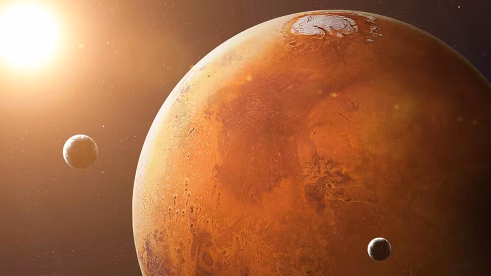 Sự việc này xảy ra sau khi 2 tàu đổ bộ Viking của NASA đã hạ cánh xuống sao Hỏa năm 1976. Sau đó, những tàu này thực hiện một loạt thí nghiệm, lấy các mẫu đá để tìm kiếm dấu hiệu sinh học trên sao Hỏa.