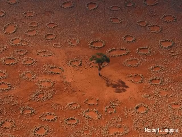 Trong số những nước ghi nhận sự xuất hiện của "vòng tròn thần tiên" có Namibia và Australia. Hai nơi này được nhiều người biết đến nhất bởi vì có những cấu trúc thực vật hình tròn bí ẩn nhưng bên trong là mảng đất trống. Trong suốt nhiều năm, các chuyên gia nỗ lực nghiên cứu nhằm giải mã sự hình thành của chúng.