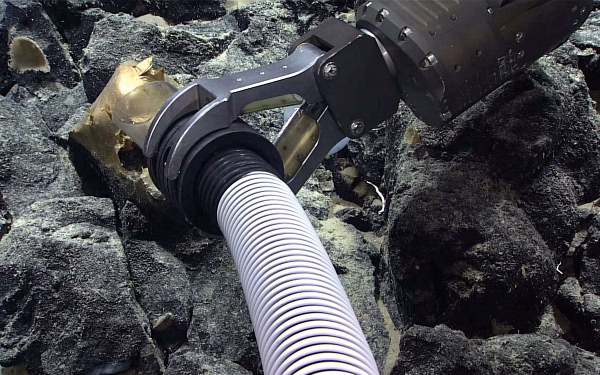 Hiện các chuyên gia của NOAA chưa thể xác định nguồn gốc của "quả trứng vàng" dưới đáy biển ngoài khơi Alaska. Tuy nhiên, họ cho rằng nó có thể là vỏ trứng hoặc phần còn lại của bọt biển.