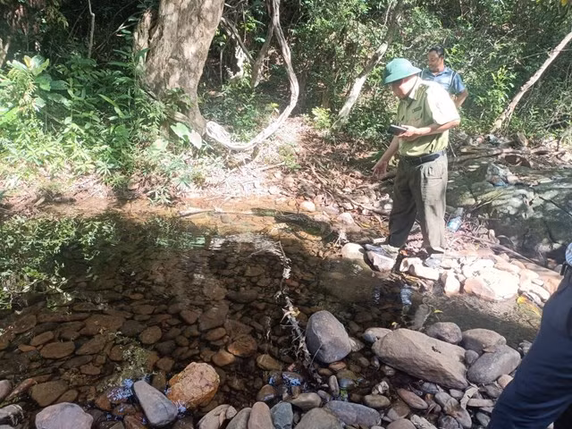 Trước khi được thả về lại môi trường tự nhiên, cá thể trăn “khủng” được lực lượng chức năng cứu hộ và chăm sóc khỏe mạnh.
