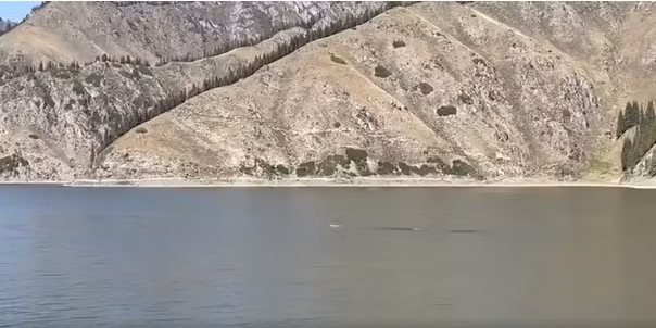 Cô Li cho hay đã quay được video về sinh vật bí ẩn trên vào khoảng 16h chiều ngày hôm đó khi đang đi dạo dọc bờ hồ Tianchi.