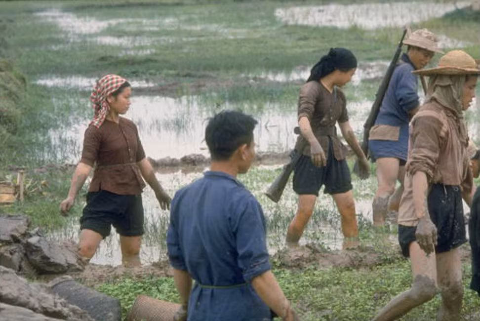Các dân quân đeo súng trên lưng khi gia cố bờ đê.